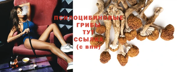 эйфоретик Алексеевка
