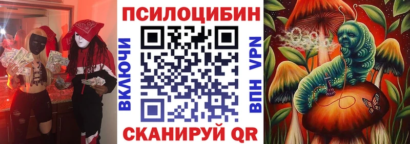 omg ССЫЛКА  Орлов  Галлюциногенные грибы мицелий  что такое  